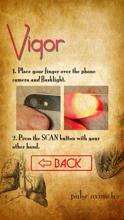 Vigor SpO2 | Pulse Oximeter for Sleep Apnea, Asthma, and Blood Pressure