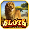 Golden Safari King Lion Slot-s – Free Grand Vegas Casino Party Keno Game 3D