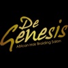 Degenesis Hair & Beauty Salon