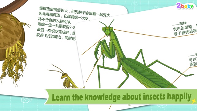 Mantis - InsectWorld A story book about insects for children(圖4)-速報App