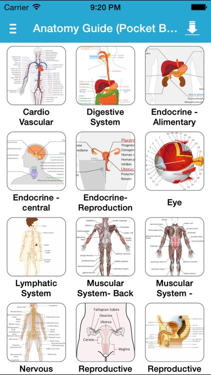 Anatomy Guide (Pocket Book)