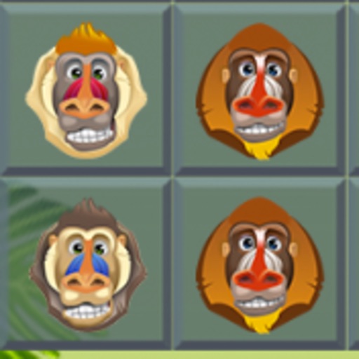 A Baboon Match Picker icon