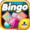 Bingo Lady Rush PLUS - Play the most Famous Card Game in the Casino for FREE !