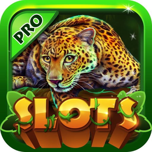 Slots Safari Leopard: Wild Amazon Riches - PRO 777 Slot Machine Game icon