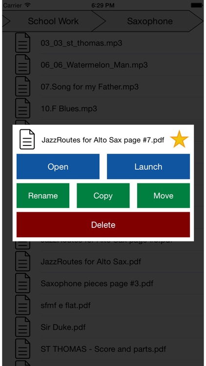 Remote File Browser