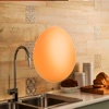 Kitchen Egg