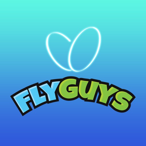 Fly Guys