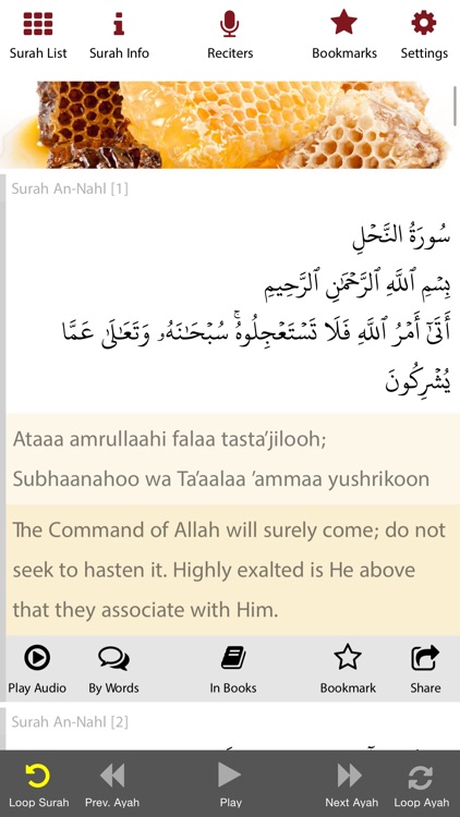 Quran & English Translation ( Text & Audio )
