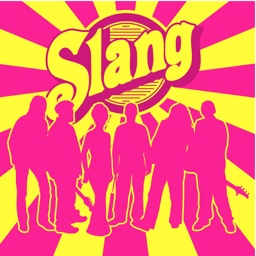American Slang and Videos: Dictionary with Flashcard and Free video Lessons