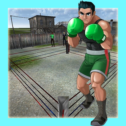 Real Punch Boxing iOS App
