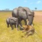 Survive the wild elements in action packed animal simulator