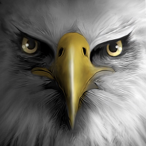 Eagle Play iOS App