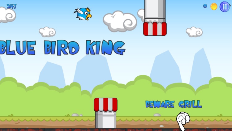 Blue Bird King