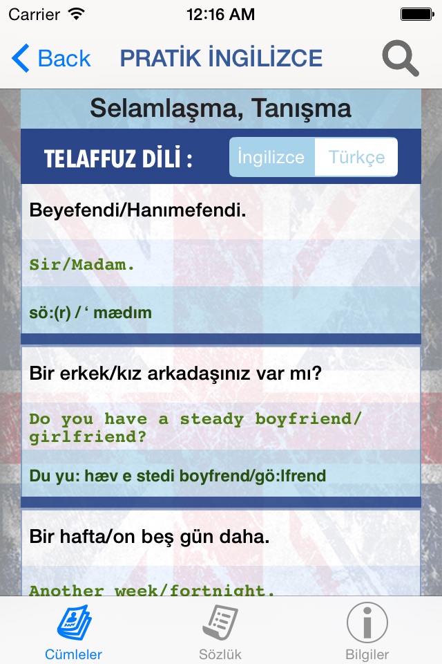 Pratik İngilizce - İngilizce Sözlük, İngilizce Öğren, Kelime Ezberle, Çeviri ve Tercüman screenshot 4