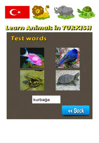Learn Animals in Turkish Language screenshot 4
