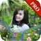 - Applied Photo Collage Art Pro is a professional photo editor with lots of functions such as :