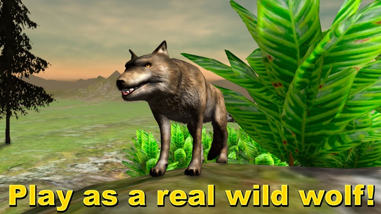 Wild Wolf Survival Simulator 3D Full