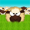Sorting sheep