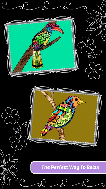 Love Birds Art Class: Adults Coloring Book screenshot-4