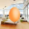 Egg in Penthouse