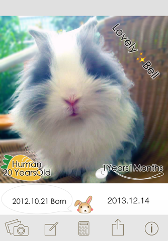 HowOldRabbit? Save pictures calculating the age of the pet Rabbit. screenshot 3