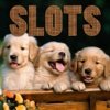 Pet Shop Animals - FREE Slots Game A Solitaire Mobility Casino Machine