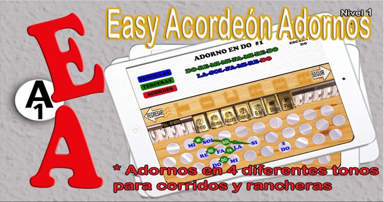 Easy Acordeón Adornos 1 by Hector Rodriguez