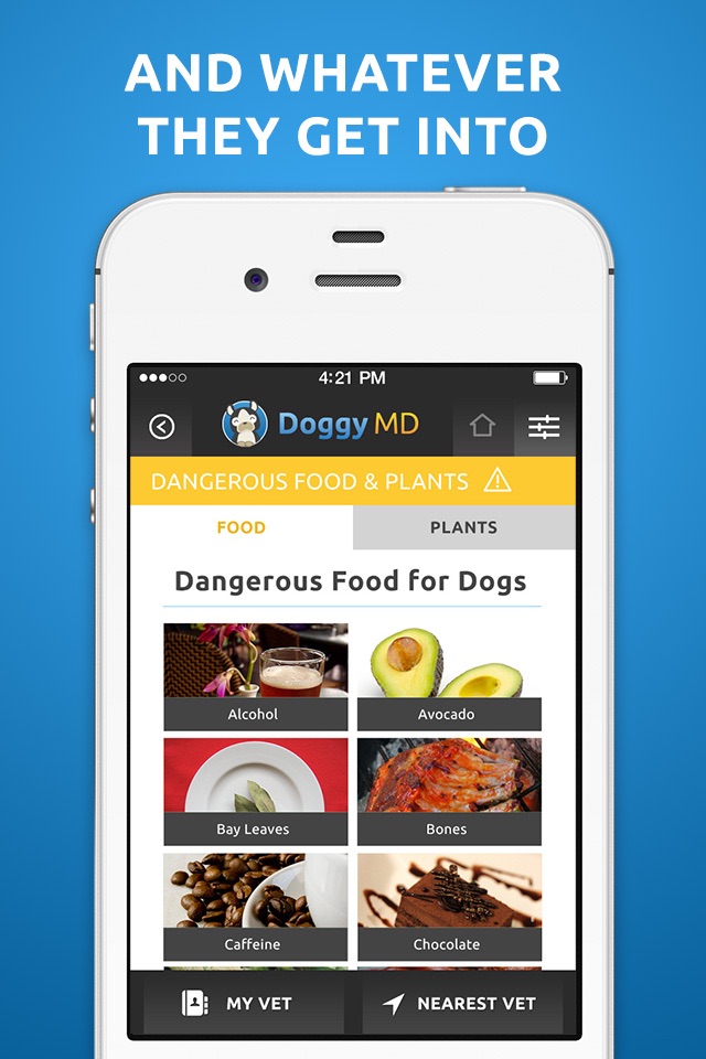 Doggy MD screenshot 4