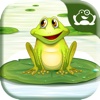 Frog Grub