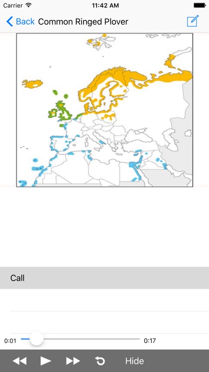 North Africa Birds