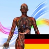 Physiology & Anatomie Animation 3D