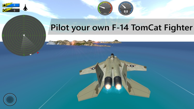 F14 Fighter Jet 3D Simulator screenshot-0
