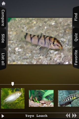 Fish Guide Pro screenshot 4