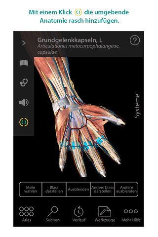 Human Anatomy Atlas – 3D Anatomical Model of the Human Body screenshot 2