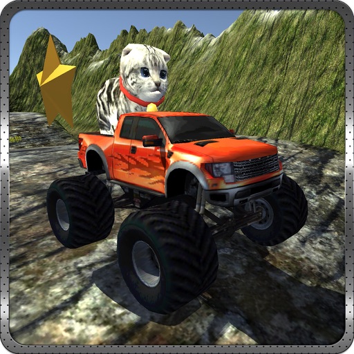 Cat Car Rally 3D