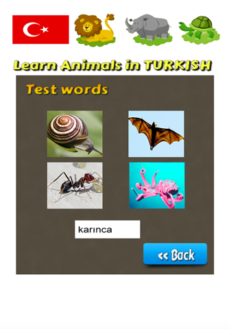 Learn Animals in Turkish Language screenshot 2