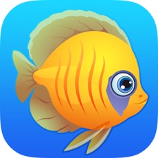Activities of Fish Adventure - Aquarium