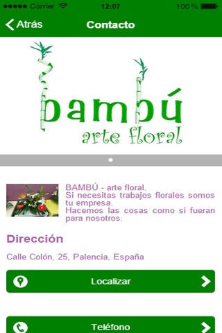 Bambu arte floral screenshot 3