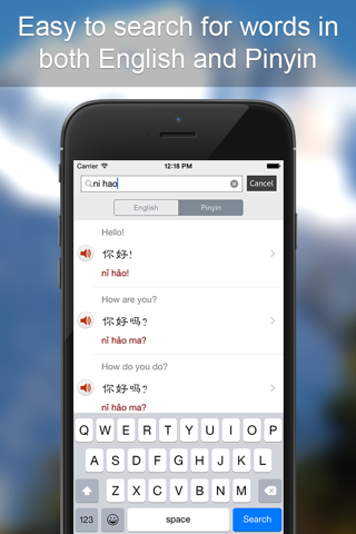 Mandarin Phrasebook - Learn Mandarin Chinese Language With Simple Everyday Words And Phrases screenshot 4