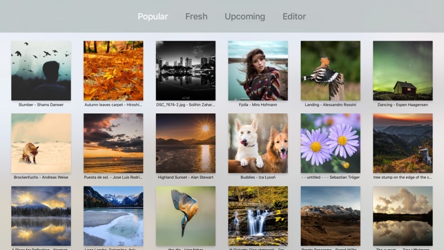 Photo Viewer for 500px(圖2)-速報App