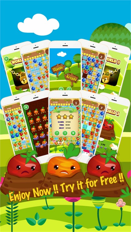 Happy Farm Country 3 Match Game screenshot-3