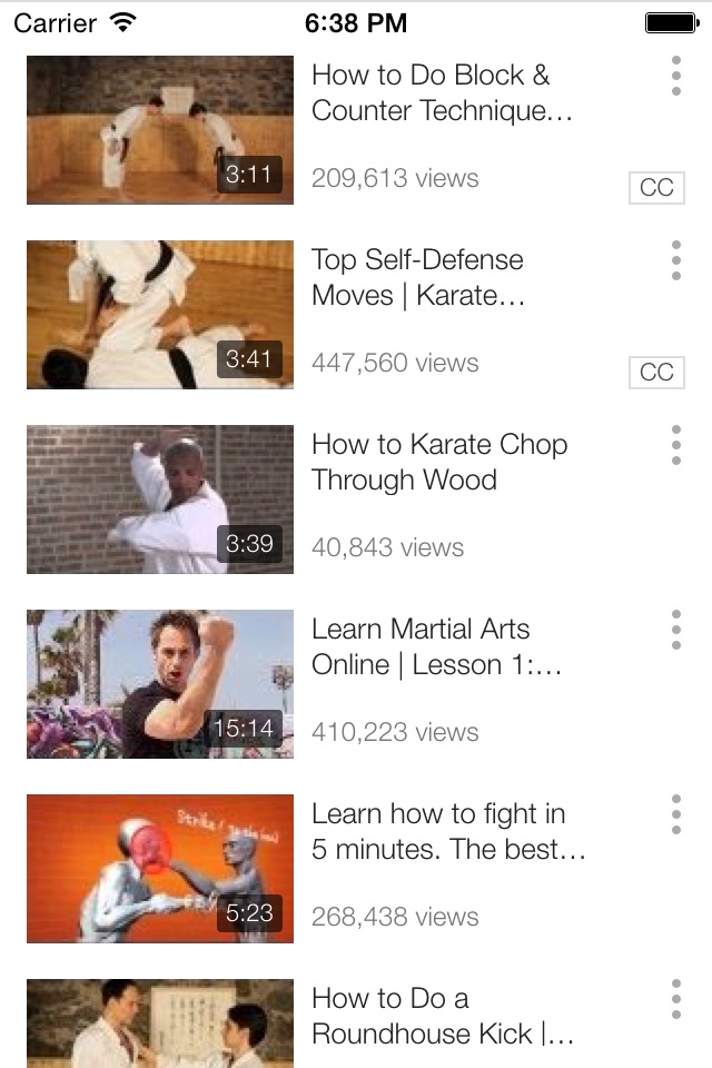 Karate Lessons - Learn How To Improve Your Karate Technique screenshot 3