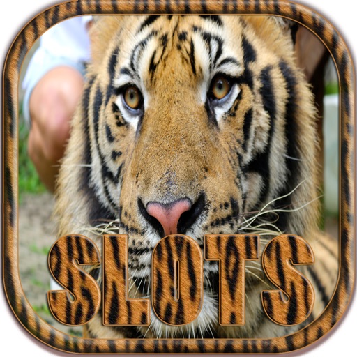 Lucky Wild Tiger Slots Machine - FREE Gambling World Series Tournament icon