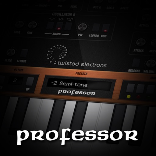 Professor