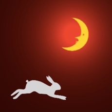 Activities of Rabbits on the Moon