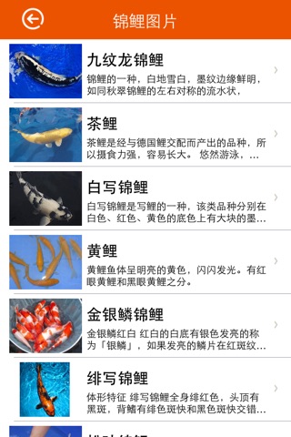 重庆锦鲤 screenshot 2