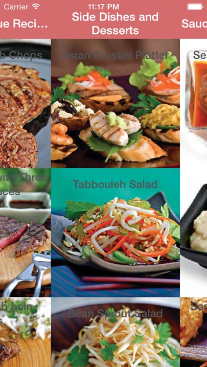 Barbecue & Grilling Cookbook