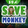 Save Monkey Puzzle