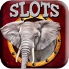 Savannah Nature SLOTS Para-Dice African Paradise Bay Jungle Experience