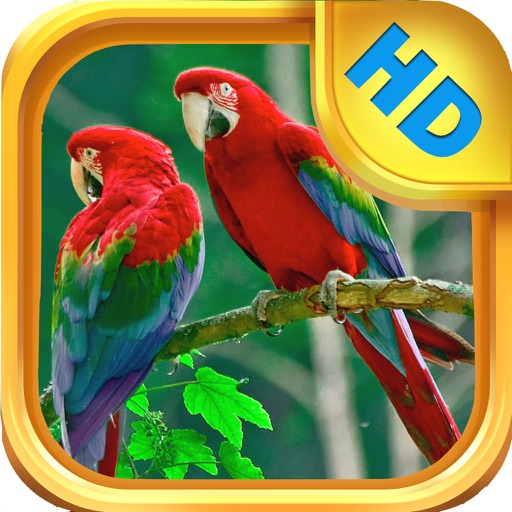 The Bird Book - an Interactive Storybook for Children - FREE icon